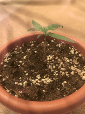 1594908581380.png 1594908581380.png