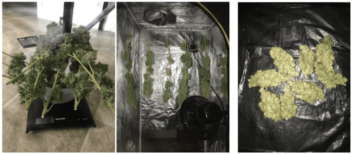 1594908717367.png 1594908717367.png