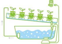 1595673452667.png 1595673452667.png