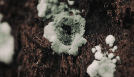 1595769504212.png 1595769504212.png