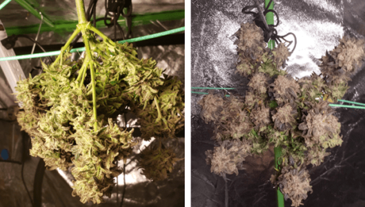 1596287026416.png 1596287026416.png