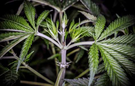 1596449095831.png 1596449095831.png