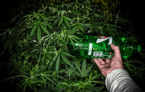 1596449114618.png 1596449114618.png