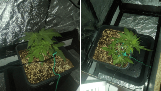 1596461433637.png 1596461433637.png