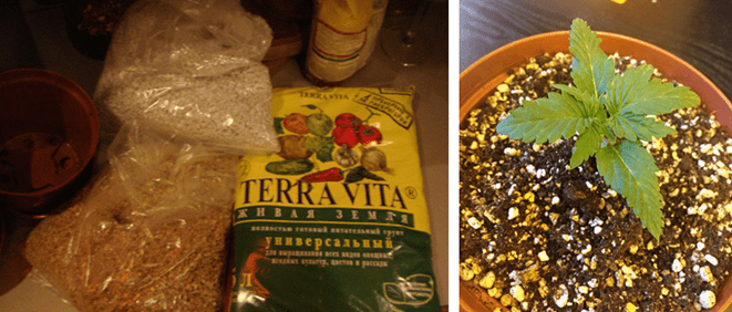 1596897205997.png 1596897205997.png