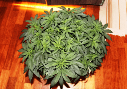 1596897271881.png 1596897271881.png