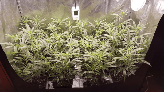 1597563798780.png 1597563798780.png