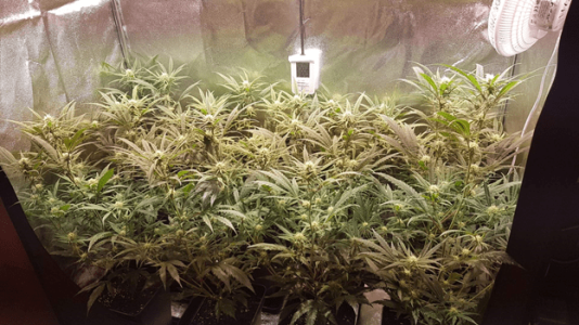 1597563819512.png 1597563819512.png