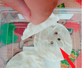 1597762203673.png 1597762203673.png