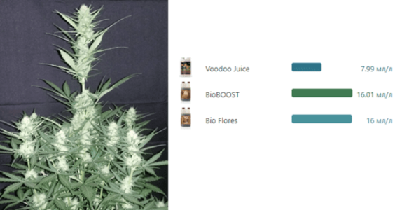 1598455930760.png 1598455930760.png