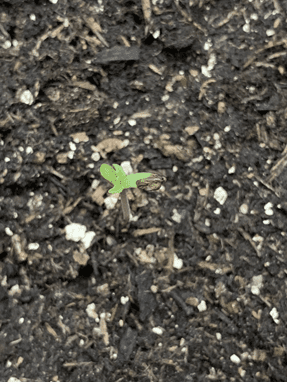 1598643565116.png 1598643565116.png