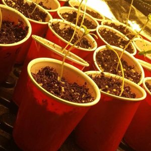 week1.1.jpg week1.1.jpg