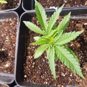 week2.2.jpg week2.2.jpg