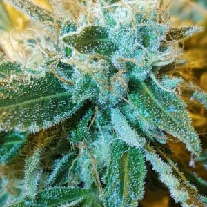 week8.8.jpg week8.8.jpg