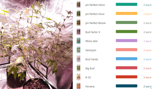 1600349330105.png 1600349330105.png