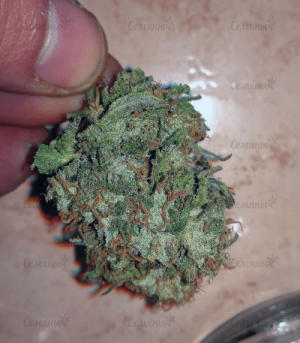 1602333054702.png 1602333054702.png