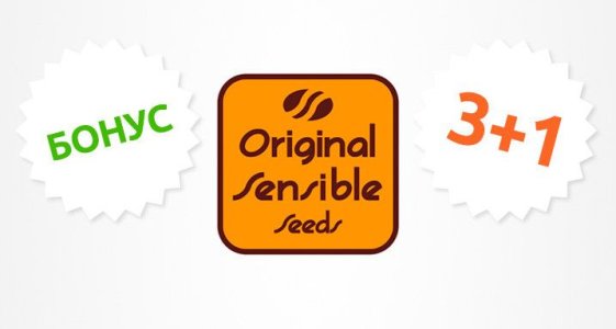 1__aXjFHPUrk6Y5QGHI.jpg 1__aXjFHPUrk6Y5QGHI.jpg