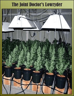 1603794987783.png 1603794987783.png