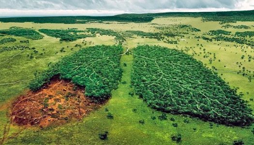 Mozhet-li-dym-kannabisa-povredit-lyogkie__DxoUIDnkRqlqm0BF.jpg Mozhet-li-dym-kannabisa-povredit-lyogkie__DxoUIDnkRqlqm0BF.jpg