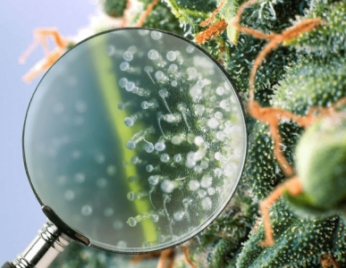 1605186103675.png 1605186103675.png