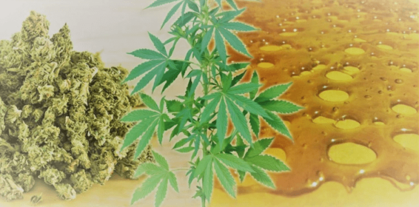 1605186208022.png 1605186208022.png