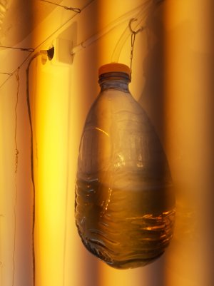 20220321_142354.jpg 20220321_142354.jpg