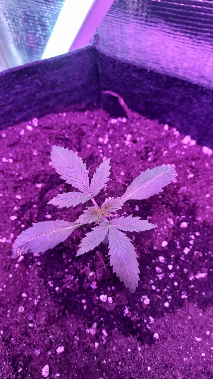 2D2D114B-E7D6-410D-958C-2472AA0D6555.jpeg 2D2D114B-E7D6-410D-958C-2472AA0D6555.jpeg