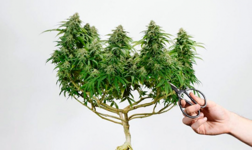 1648147155218.png 1648147155218.png