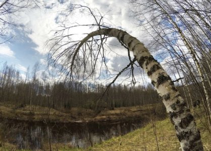 2DE404CD-F810-4D13-BEA0-E092402C5A9B.jpeg 2DE404CD-F810-4D13-BEA0-E092402C5A9B.jpeg