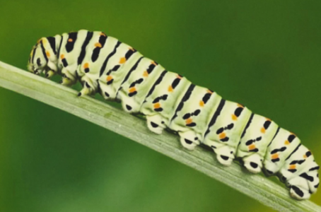 1648847065797.png 1648847065797.png