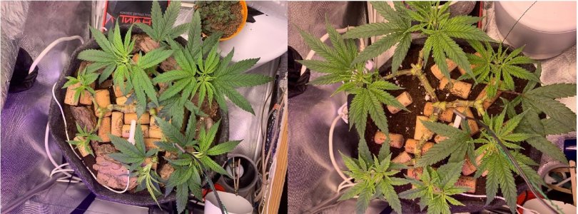 11-14.03.jpg 11-14.03.jpg