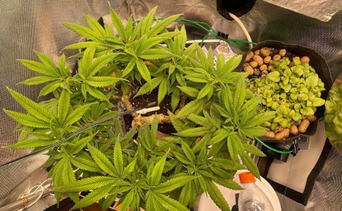 01.04 2.jpg 01.04 2.jpg