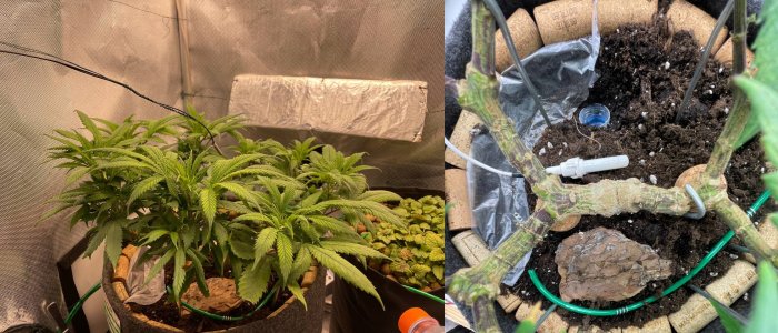 01.04 1.jpg 01.04 1.jpg