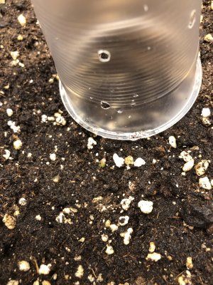 2024_10_30_22_03_IMG_0406 — копия.JPG