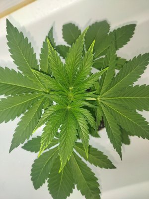 photo_2024-11-18_18-49-04 (2).jpg