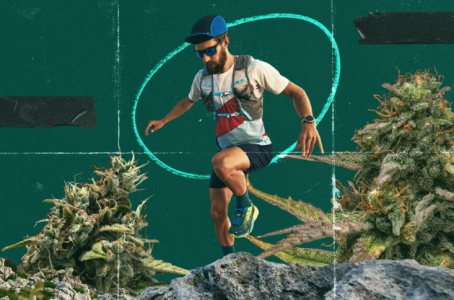 1732714464163.png 1732714464163.png