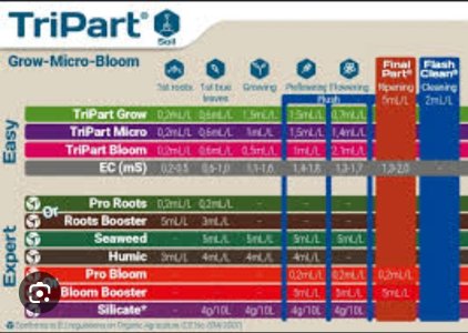 Screenshot_2024-11-28-18-55-45-152_com.google.android.googlequicksearchbox-edit.jpg Screenshot_2024-11-28-18-55-45-152_com.google.android.googlequicksearchbox-edit.jpg