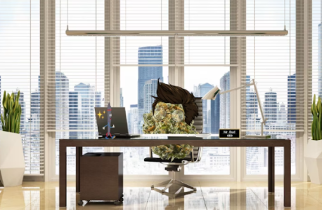 1732950771824.png 1732950771824.png