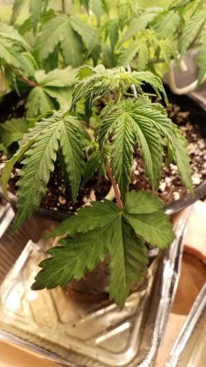 20241231_120300.jpg 20241231_120300.jpg