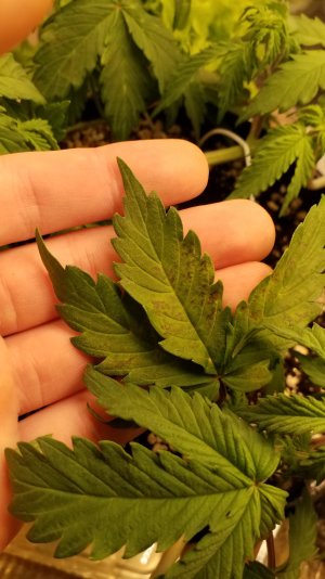 20241231_120323.jpg 20241231_120323.jpg