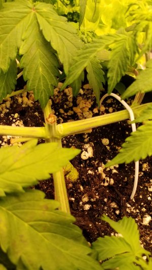 20241231_120356.jpg 20241231_120356.jpg