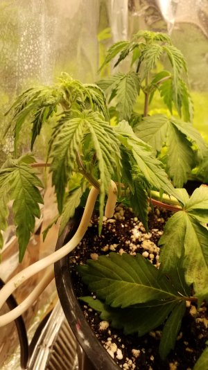 20241231_120445.jpg 20241231_120445.jpg