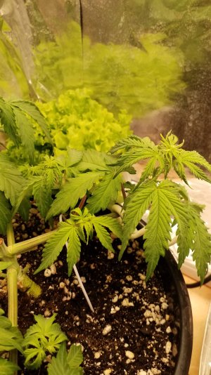 20241231_120513.jpg 20241231_120513.jpg