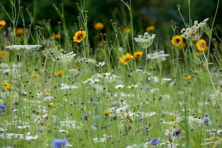 1736266071094.png 1736266071094.png