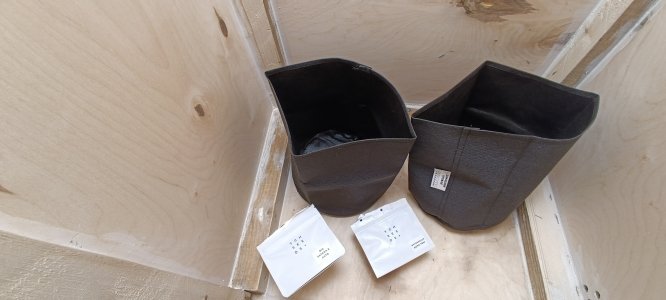 IMG_20250111_233842.jpg IMG_20250111_233842.jpg