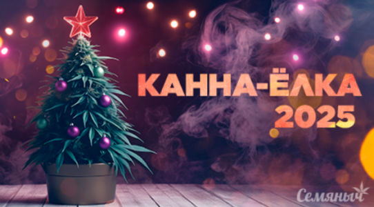 1736763362502.png 1736763362502.png