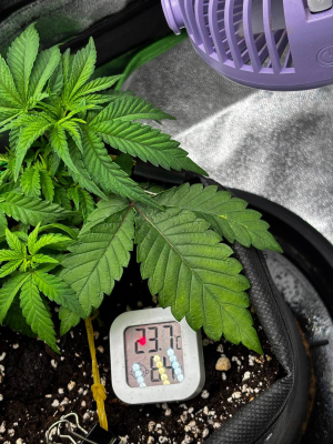 1739815673871.png 1739815673871.png