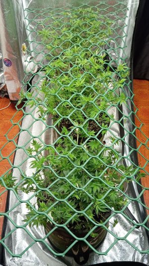 photo_2025-02-28_16-27-47 (2).jpg