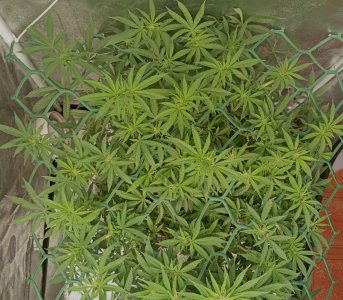 photo_2025-03-12_15-39-13 (3).jpg