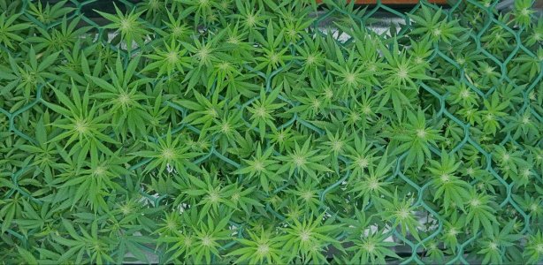 photo_2025-03-12_15-39-12 (3).jpg